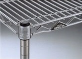 erecta_036.jpg