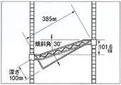 erecta_060_c.jpg