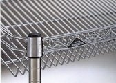 erecta_060.jpg