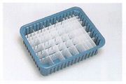 erecta_076_17_24_03.jpg