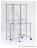 erecta_078_17_27_41.jpg