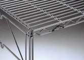 erecta_086.jpg