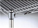 erecta_100_t.jpg