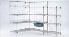 erecta_102_18_49_35.jpg