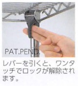 erecta_102_18_50_08.jpg