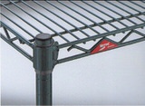 erecta_108_t.jpg