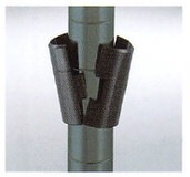 erecta_111_18_52_50.jpg
