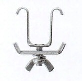 erecta_113_18_58_28.jpg