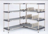erecta_127_19_00_53.jpg