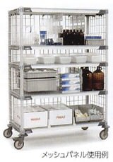 erecta_129_19_05_45.jpg
