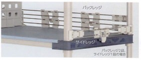 erecta_130_19_08_03.jpg