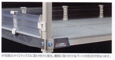 erecta_130_19_08_29.jpg